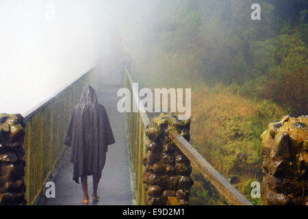 Viktoriafälle können Sie herumlaufen.  Führung durch die Victoriafälle. Zu entdecken, wie die Wasserfälle gebildet wurden und welche lokale Cus Stockfoto