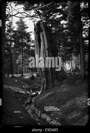 Totemfigur durch einen Baum im Stanley Park 7289 10196388376 o Stockfoto