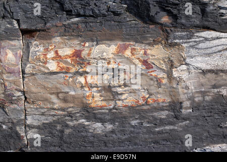 Nahaufnahme von schwarzen und kupferfarbenen Ablagerungen in den Klippen von Kimmeridge Bay, Dorset, England, Großbritannien Stockfoto