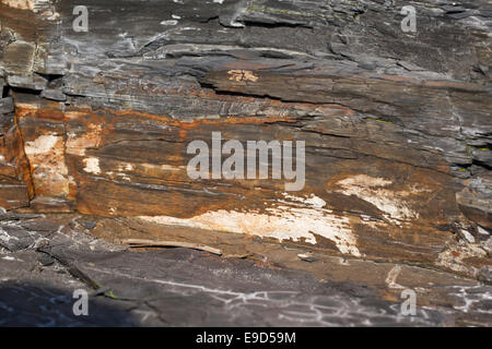 Nahaufnahme von schwarzen und kupferfarbenen Ablagerungen in den Klippen von Kimmeridge Bay, Dorset, England, Großbritannien Stockfoto