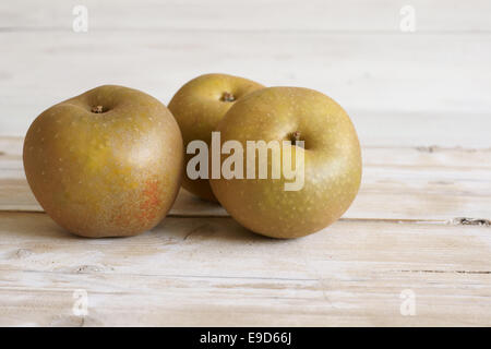 Egremont Russet Äpfel eine beliebte Autumnal Apfel Stockfoto