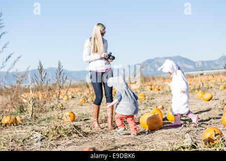 Niedlichen Kinder in Halloween-Kostümen auf dem Kürbisfeld. Stockfoto