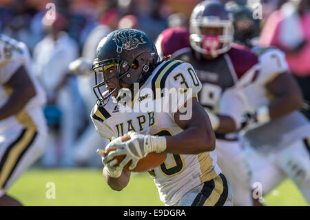 25. Oktober 2014 - Houston, Texas, USA: Arkansas-Pine Bluff Golden Lions laufen wieder Brian Handley (30) nimmt positive Birdie während einer NCAA Football-Spiel zwischen der University of Arkansas in Pine Bluff Golden Lions und die Texas Southern Tigers BBVA Compass Stadium, Houston, Tx. Arkansas-Pine Bluff schlagen TSU 38-37 Stockfoto