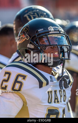 25. Oktober 2014 - Houston, Texas, USA: Arkansas-Pine Bluff Golden Lions Wide Receiver C.J. Harris (26) ...bei einer NCAA Football-Spiel zwischen der University of Arkansas in Pine Bluff Golden Lions und die Texas Southern Tigers BBVA Compass Stadium, Houston, Tx. Arkansas-Pine Bluff schlagen TSU 38-37 Stockfoto