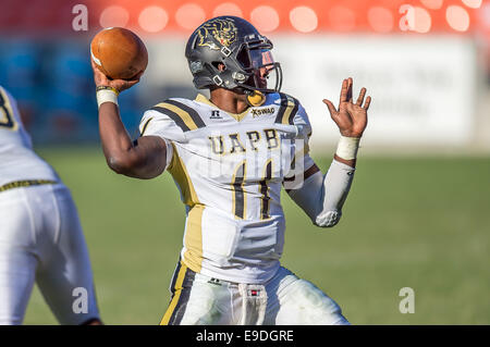 25. Oktober 2014 - Houston, Texas, USA: Arkansas-Pine Bluff Golden Lions Quarterback Benjamin Anderson (11) Abschluss eines seiner vielen Pässe während der NCAA Football-Spiel zwischen der University of Arkansas in Pine Bluff Golden Lions und die Texas Southern Tigers bei BBVA Compass Stadium, Houston, Tx. Arkansas-Pine Bluff schlagen TSU 38-37 Stockfoto