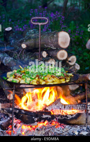 Pfanne Bratkartoffeln mit Zwiebeln auf einem Feuer auf einem Picknick Stockfoto