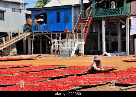 Chili peppers auf bambusmatten trocknen in der Sonne durch die Pfahlbauten in Krong Hampong Chhnang, Kambodscha, Südostasien Stockfoto