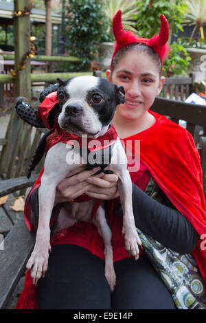 London, UK. 26. Oktober 2014. Boston Terrier "Bebop", 11 Jahre, mit Marisa, 13. Hunde in Halloween-Kostümen und ihren Besitzern gekleidet, einige auch in Tracht, versammelten sich die Spanier Inn Pub vor dem Einschiffen auf die jährliche Halloween Dog Walk auf Hampstead Heath von Tierische Liebe "Alle Hunde Materie" organisiert. Bildnachweis: Nick Savage/Alamy Live-Nachrichten Stockfoto