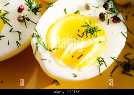 Gekochten Eiern mit Salz, Pfeffer und dill Stockfoto