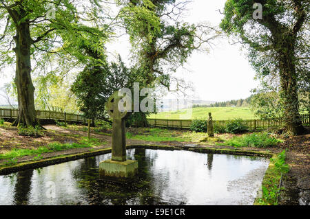 Ladys gut bei Holystone in Northumberland. St. Ninian zugeordnet ist es ein versteckten und geheimnisvollen Ort Stockfoto