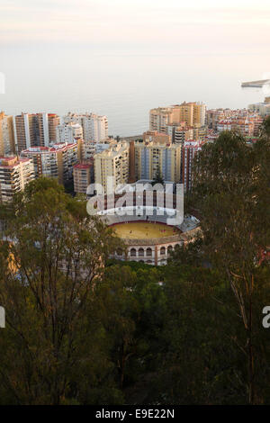 Blick auf Malaga Stadt Skyline mit Stierkampfarena bei Sonnenuntergang von Gibralfaro, Andalusien, Südspanien. Stockfoto