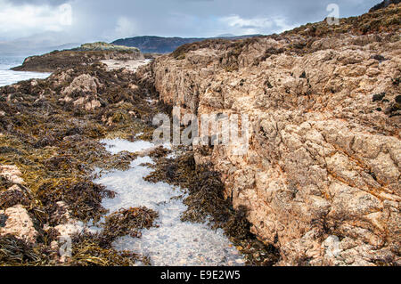 Felsen, Fels-Pools und Algen auf Ord Strand auf der Insel Skye, Schottland. Stockfoto