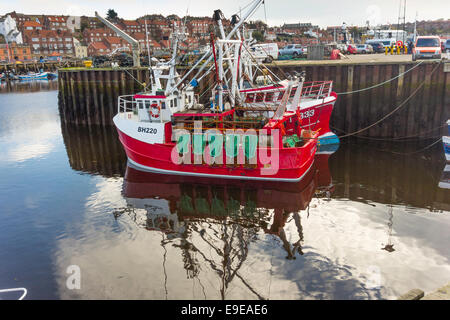 Rot spezialisiert Jakobsmuschel Fischerboot, die Freude von Blyth B220 in Whitby, North Yorkshire festgemacht. Stockfoto