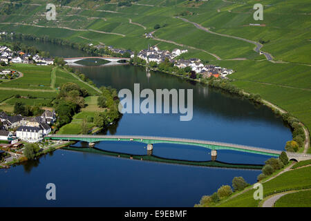 Panoramablick auf Mosel mit zwei Brücken und Piesport Dorf Deutschland Stockfoto