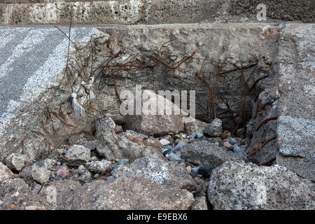Gezeiten Erosion an der Küstenverteidigung Wand auf Rossall Promenade Thornton Cleveleys, UK. Stockfoto