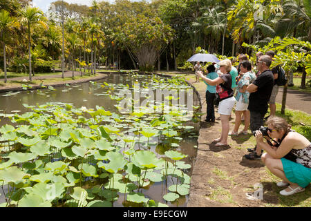 Der Sir Seewoosagur Ramgoolam Botanical Gardens, Pamplemousses, Mauritius Stockfoto