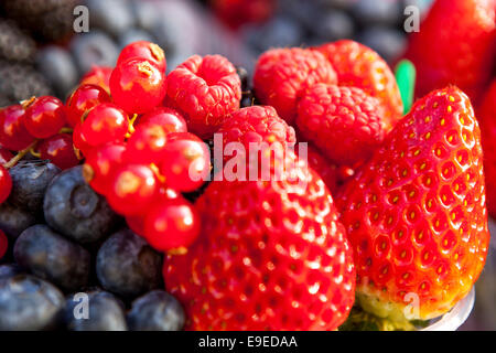 Gemischte Beeren Heidelbeere Erdbeere Johannisbeeren saftig Süße Früchte aus nächster Nähe Stockfoto