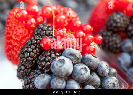 Frische Beeren Brombeere Heidelbeere Erdbeere Beeren saftig lecker Süße Früchte Stockfoto