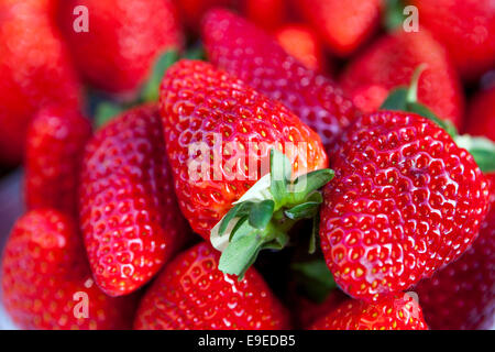 Erdbeere hautnah Stockfoto