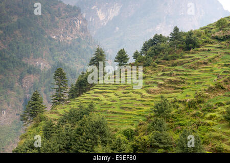 Annapurna Circuit - trek beliebtesten Touristen im Himalaya Gebirge massiv in Nepal. Stockfoto