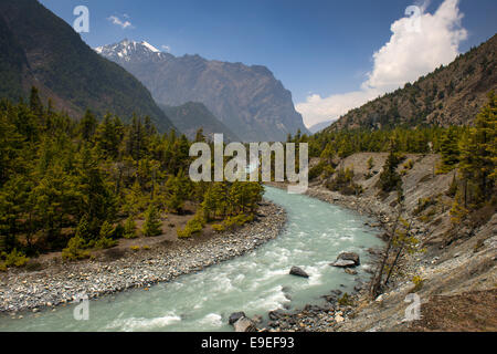 Annapurna Circuit - trek beliebtesten Touristen im Himalaya Gebirge massiv in Nepal. Stockfoto