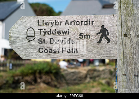 Wegweiser auf der South Wales Coast Path in der Nähe von St Davids in Pembrokeshire, South Wales Stockfoto