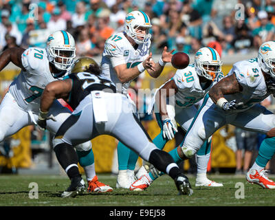 Jacksonville, FL, USA. 26. Oktober 2014. Miami Dolphins quarterback Ryan Tannehill (17) während der zweiten Hälfte NFL Spiel Action zwischen den Miami Dolphins und den Jacksonville Jaguars. Delphine besiegte Jaguare 27-13 bei EverBank Field in Jacksonville, FL Credit: Cal Sport Media/Alamy Live News Stockfoto