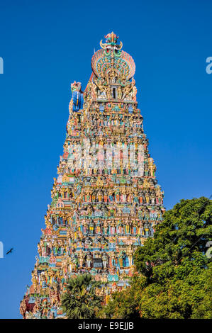 Bunte Turm von Meenakshi Amman Tempel in Indien Stockfoto