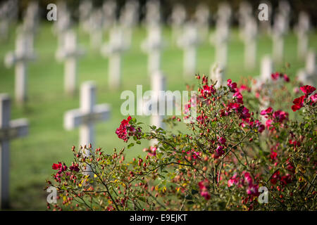 Saint-Charles de Potyze Friedhof, Ypern, Belgien. Stockfoto