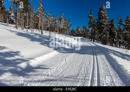 winterliche Landschaft Landschaft mit modifizierten Langlauf Ski Weg Stockfoto