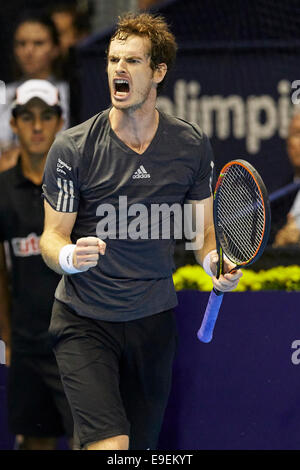 Valencia, Spanien. 26. Oktober 2014. Valencia Open 500 Tennis Finale zwischen Andy Murray of Great Britain und Tommy Robredo von Spanien. Andy Murray aus Großbritannien reagiert auf die endgültige Gutschrift zu gewinnen: Action Plus Sport/Alamy Live News Stockfoto