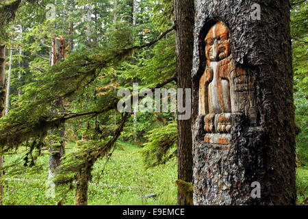 Tlingit trail Marker geschnitzt im Baum, Wald-Rundwanderweg, Bartlett Cove, Glacier Bay Nationalpark, Alaska, USA Stockfoto