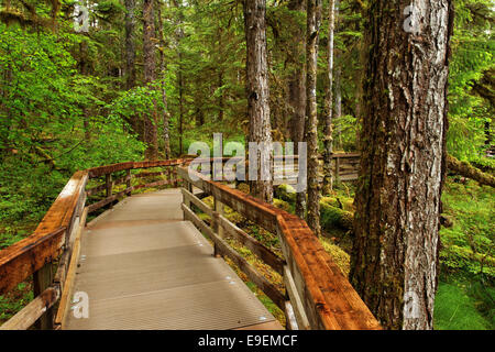 Wald-Rundwanderweg, Bartlett Cove, Glacier Bay Nationalpark, Alaska, USA Stockfoto