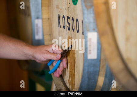 Eugene, OR, USA - 17. Juli 2014: im Alter von Bier in diesem Bourbon Barrel oakshire Brauen, bereit für eine Weinprobe. Stockfoto