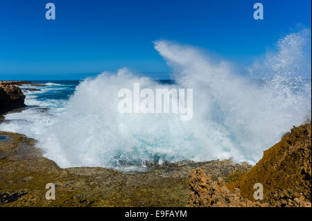 Küste in Carnarvon Westaustralien Stockfoto