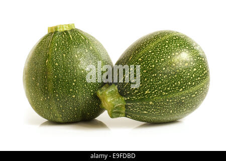 Zucchini oder zucchini Stockfoto