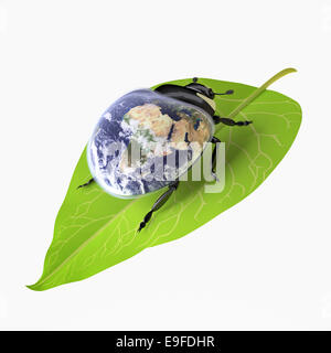 Käfer (Umweltschutz-Konzept) Stockfoto