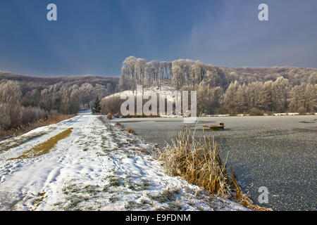 Gefrorene See Winterlandschaft in Kroatien Stockfoto