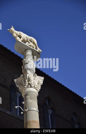 Lupa di Siena Stockfoto