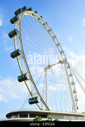 Singapore Flyer Stockfoto