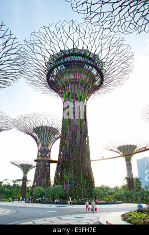 Gardens by the Bay Stockfoto