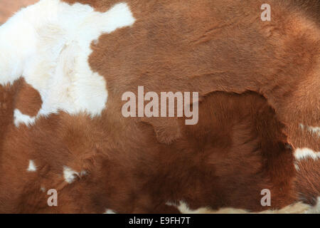 Braunem Fell Teppich Stockfoto
