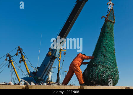 Entladung Fisch vom Boot Stockfoto