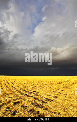 Der Sturm in einer Landschaft beginnt Stockfoto