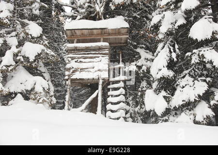 verschneite Hochsitz Stockfoto