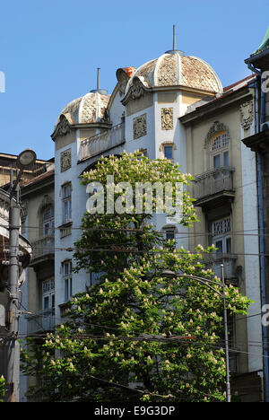 Gebäude in Belgrad Stockfoto