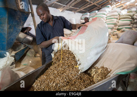 Hühnerfutter Fabrik in Dar Es Salaam, Tansania, Ostafrika. Stockfoto