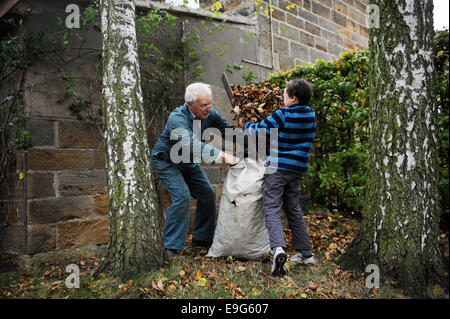 Großvater und Enkel clearing Blätter im Garten Stockfoto