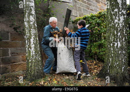 Großvater und Enkel clearing Blätter im Garten Stockfoto