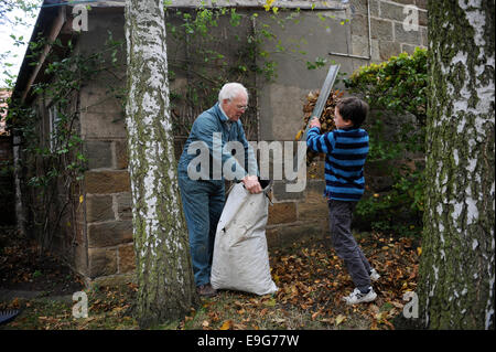 Großvater und Enkel clearing Blätter im Garten Stockfoto